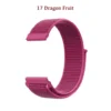17 Dragon Fruit